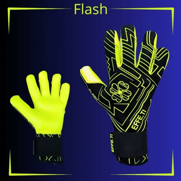 FT-FLASH